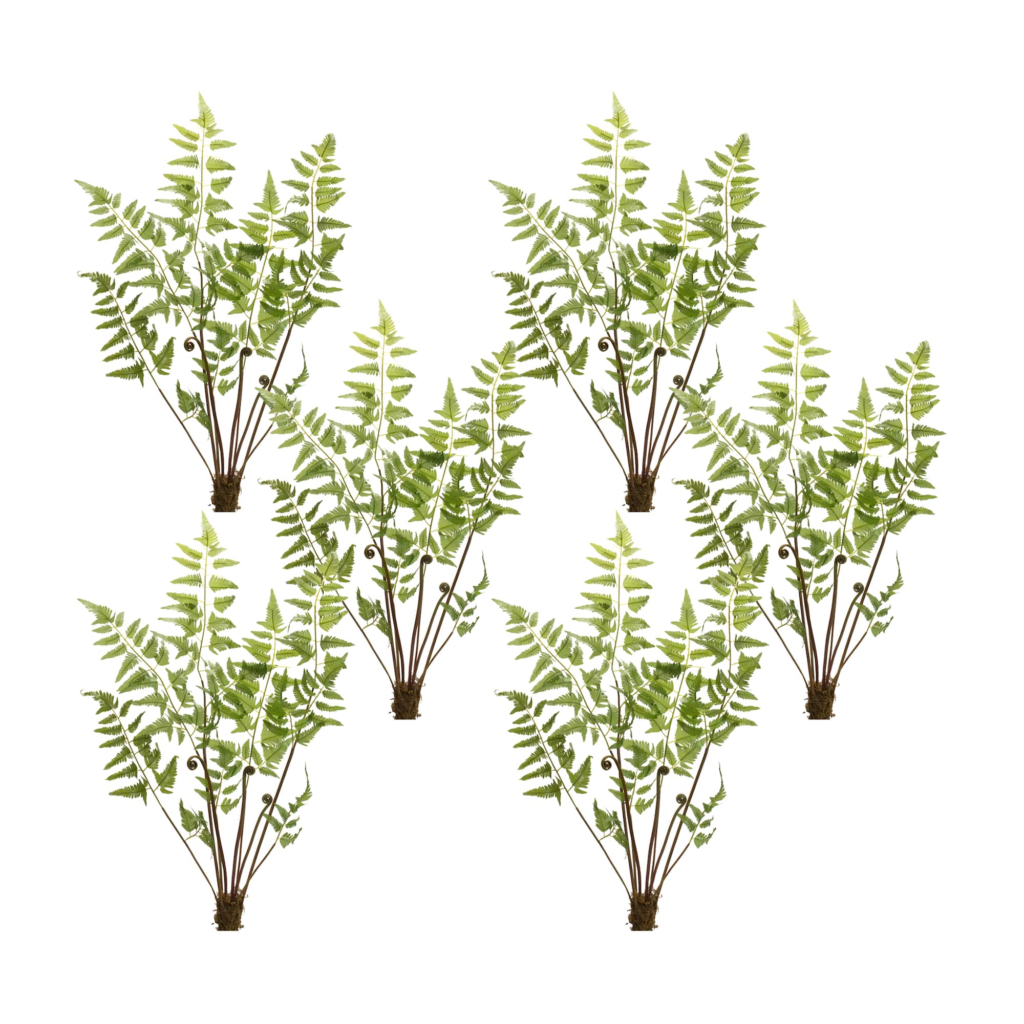 37" Varigated Fern Bundles with Sprout Accents, 6ct.